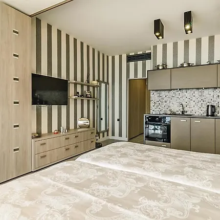 Апартаменты Alek *